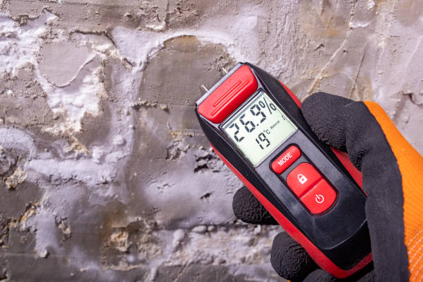 Best Mold Damage Repair  in Bondurant, IA