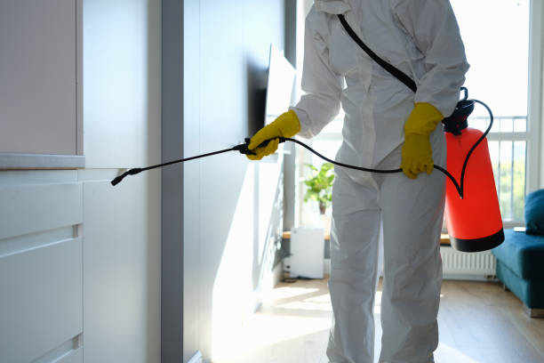 Best Commercial Mold Removal  in Bondurant, IA