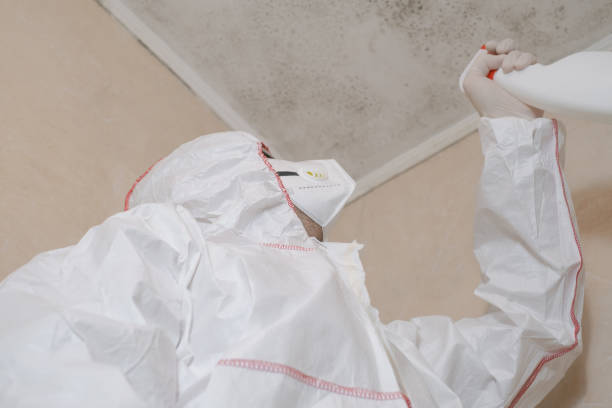 Best Crawl Space Mold Removal  in Bondurant, IA