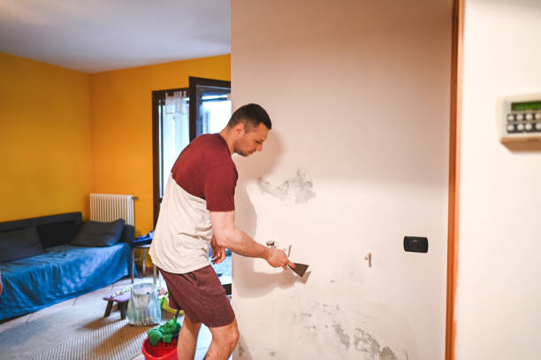 Best Attic Mold Removal  in Bondurant, IA