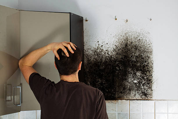 Best Mold Cleaning Services  in Bondurant, IA